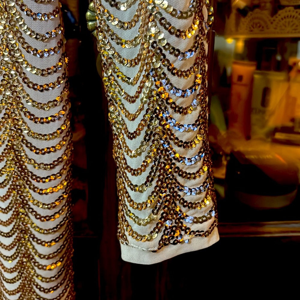 Rose Gold Sequin Dress
